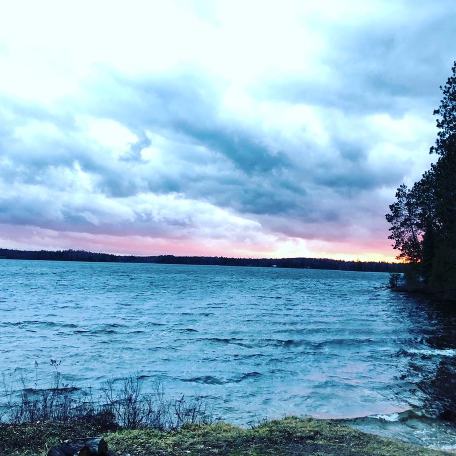 Shores Of Deer Lake 绍斯里弗 外观 照片